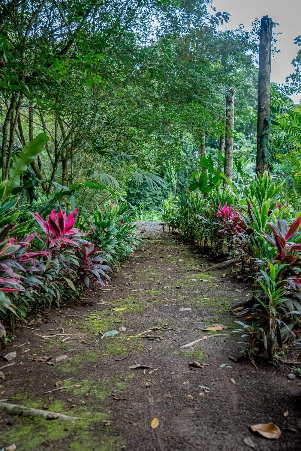 Hotel Los Rios Guácimo Zewnętrze zdjęcie