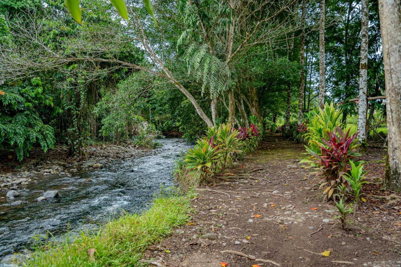 Hotel Los Rios Guácimo Zewnętrze zdjęcie